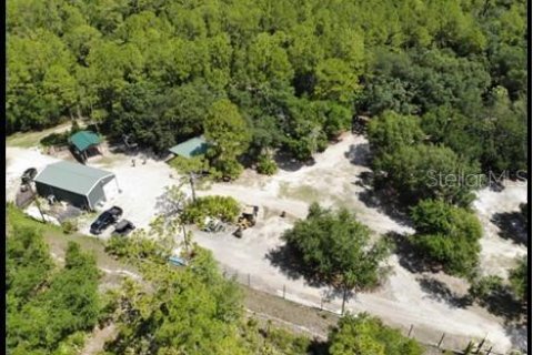 Land in Zolfo Springs, Florida № 1316765 - photo 22
