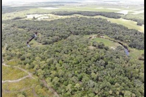 Land in Zolfo Springs, Florida № 1316765 - photo 27