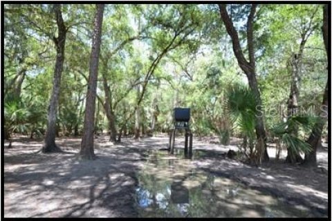 Land in Zolfo Springs, Florida № 1316765 - photo 2
