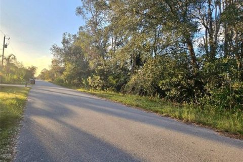 Land in Lehigh Acres, Florida № 2211788 - photo 2
