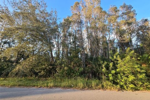 Land in Lehigh Acres, Florida № 2211788