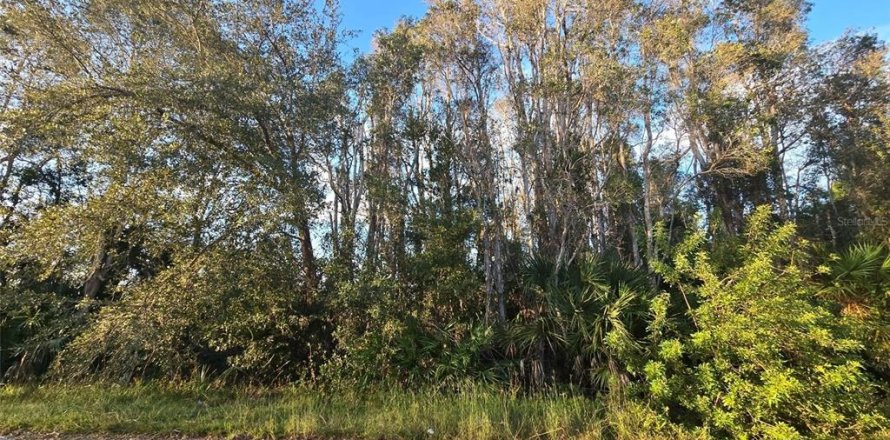 Land in Lehigh Acres, Florida № 2211788