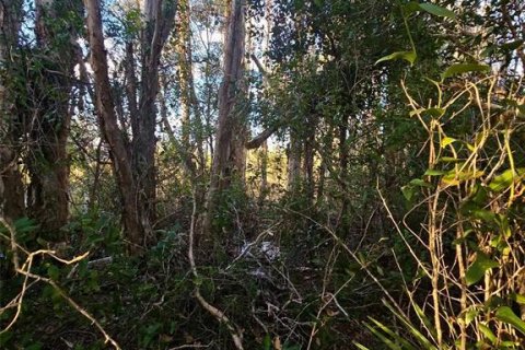 Land in Lehigh Acres, Florida № 2211788 - photo 3