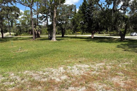 Terreno en venta en Hudson, Florida № 2098809 - foto 10