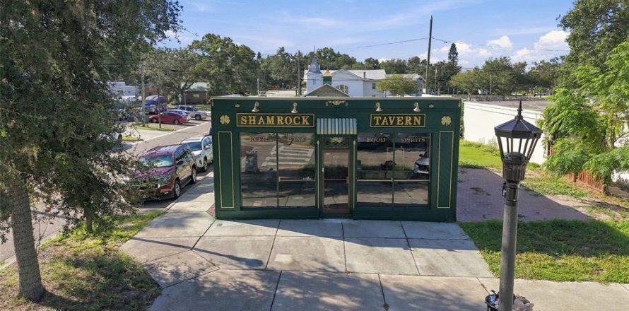 Commercial property in Palm Harbor, Florida 175.96 sq.m. № 2419340