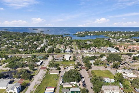 Commercial property in Palm Harbor, Florida 175.96 sq.m. № 2419340 - photo 11