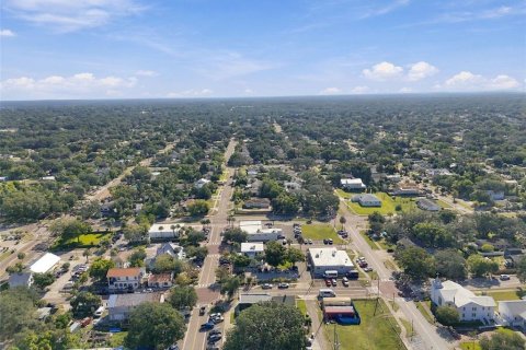 Commercial property in Palm Harbor, Florida 175.96 sq.m. № 2419340 - photo 13
