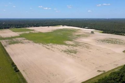 Terreno en venta en Dunnellon, Florida № 1302768 - foto 3