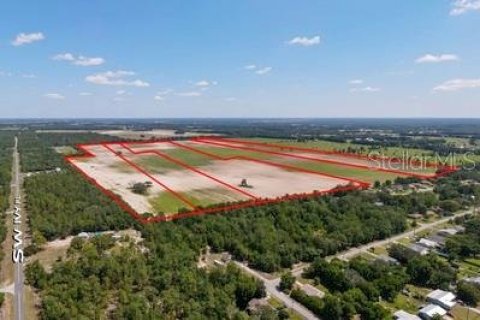 Terreno en venta en Dunnellon, Florida № 1302768 - foto 1