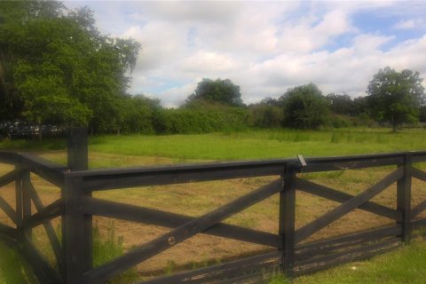 Land in Kissimmee, Florida № 2213686