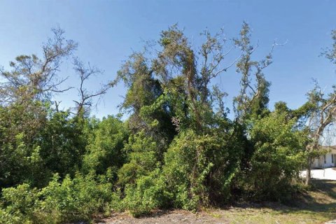 Terreno en venta en Venice, Florida № 1870306 - foto 1