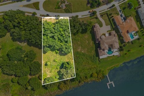 Land in Montverde, Florida № 2383566 - photo 11