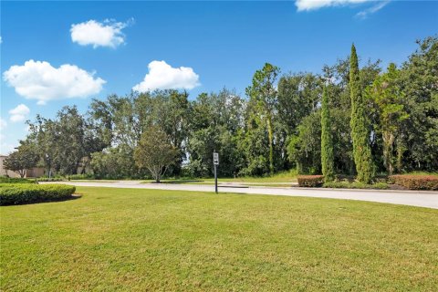 Land in Montverde, Florida № 2383566 - photo 13