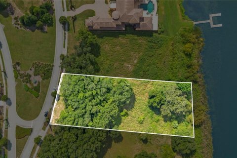 Land in Montverde, Florida № 2383566 - photo 12