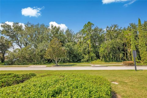 Land in Montverde, Florida № 2383566 - photo 14