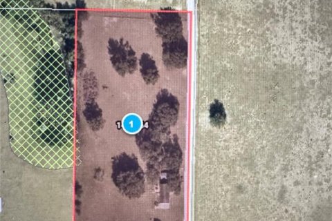 Land in Clermont, Florida № 2364323