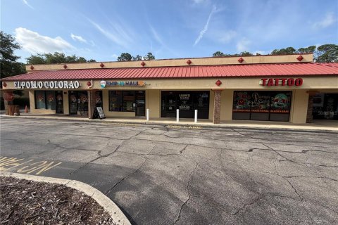 Commercial property in Palm Coast, Florida № 2218754 - photo 11