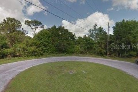 Terrain à Punta Gorda, Floride № 2099495