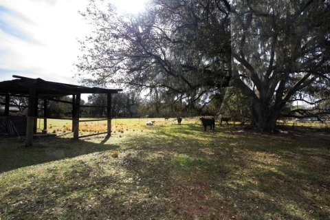 House in Plant City, Florida 3 bedrooms, 176.89 sq.m. № 1751119 - photo 23
