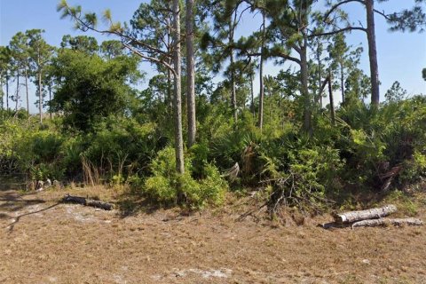 Terreno en Rotonda, Florida № 2199742
