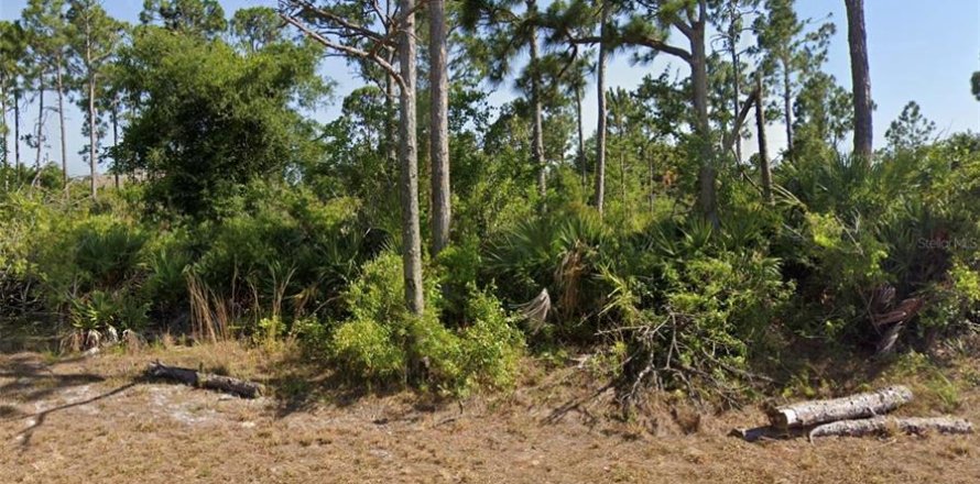 Terreno en Rotonda, Florida № 2199742
