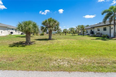 Land in Port Charlotte, Florida № 1745382 - photo 1