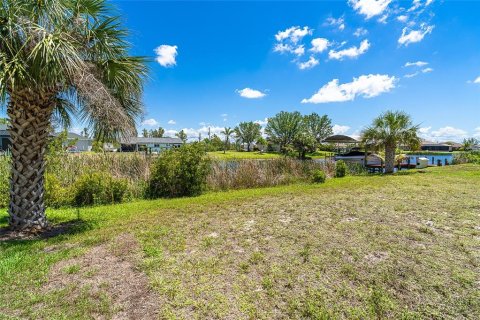 Land in Port Charlotte, Florida № 1745382 - photo 3