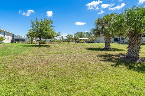 Land in Port Charlotte, Florida № 1745382 - photo 2