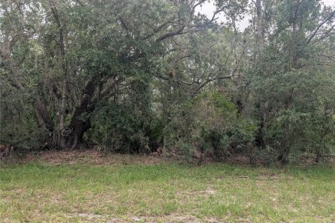 Land in Indian lake estates, Florida № 2277743