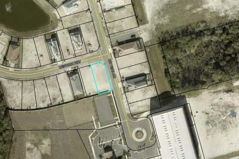 Land in Palm Coast, Florida № 1831610 - photo 3