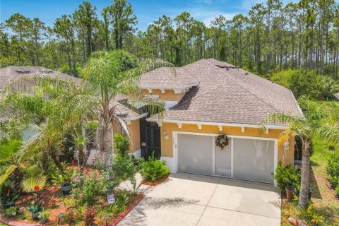 House in Palm Coast, Florida 3 bedrooms, 208.66 sq.m. № 2230649