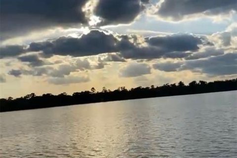 Terreno en venta en Ocklawaha, Florida № 1899382 - foto 2