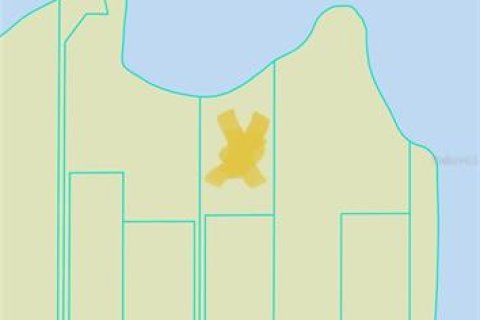 Terreno en venta en Ocklawaha, Florida № 1899382 - foto 1