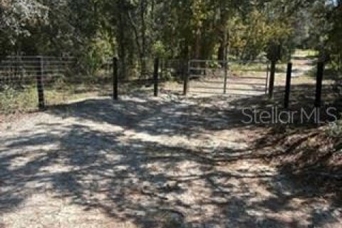 Terrain à vendre à Dunnellon, Floride № 2416242 - photo 4