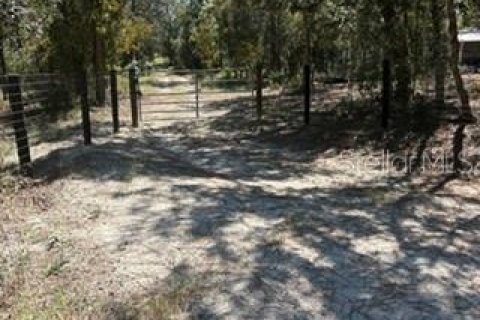 Terrain à vendre à Dunnellon, Floride № 2416242 - photo 6