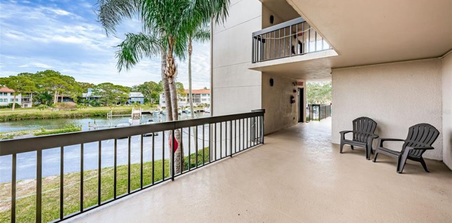 Condo à Tarpon Springs, Floride, 2 chambres № 1723297