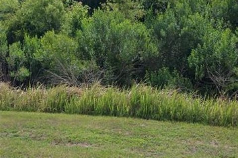 Townhouse in Wesley Chapel, Florida 3 bedrooms, 155.43 sq.m. № 2121587 - photo 5