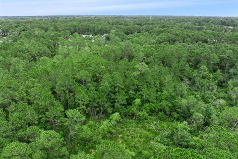 Terrain à vendre à DeBary, Floride № 2155939 - photo 9
