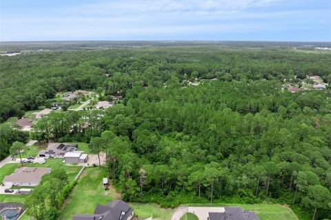 Terrain à vendre à DeBary, Floride № 2155939 - photo 13