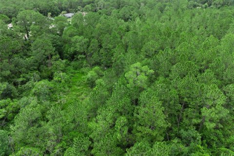 Terrain à DeBary, Floride № 2155939