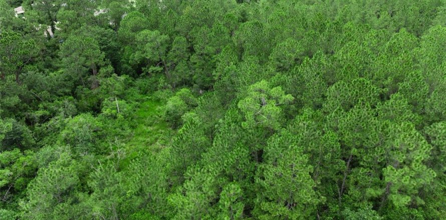 Terrain à DeBary, Floride № 2155939