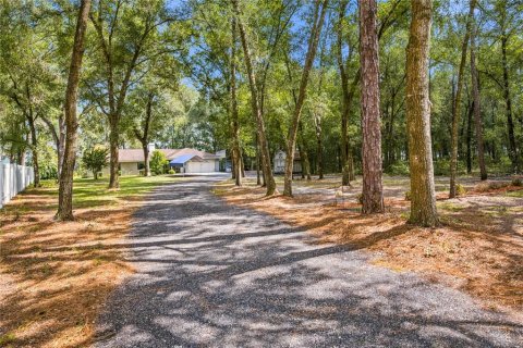 Villa ou maison à vendre à Inverness, Floride: 3 chambres, 150.97 m2 № 2399496 - photo 3