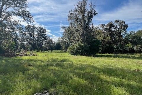 Land in High Springs, Florida № 2095732 - photo 7