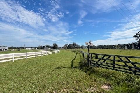 Land in High Springs, Florida № 2095732 - photo 11