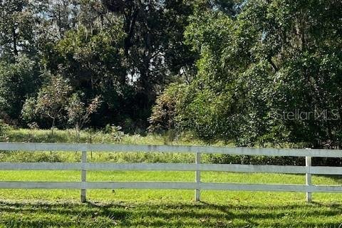 Land in High Springs, Florida № 2095732 - photo 2