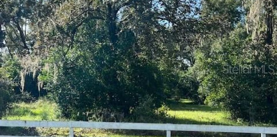 Land in High Springs, Florida № 2095732