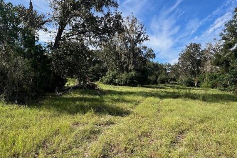 Land in High Springs, Florida № 2095732 - photo 4
