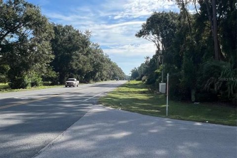Land in High Springs, Florida № 2095732 - photo 3