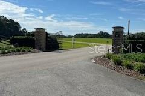 Land in High Springs, Florida № 2095732 - photo 6