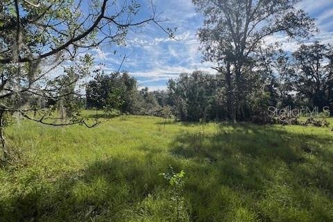 Land in High Springs, Florida № 2095732 - photo 10